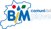 LogoBIM